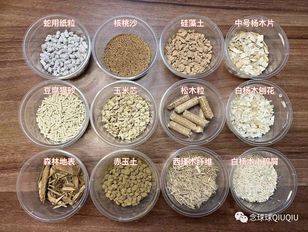 专栏