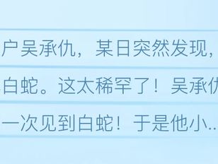 专栏