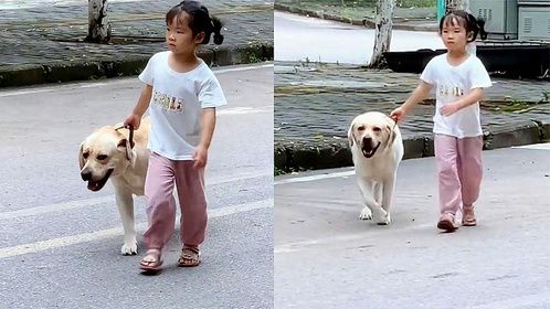 狗狗独自溜出去玩，被萌娃霸气逮回满脸不服气：人家还没玩够！