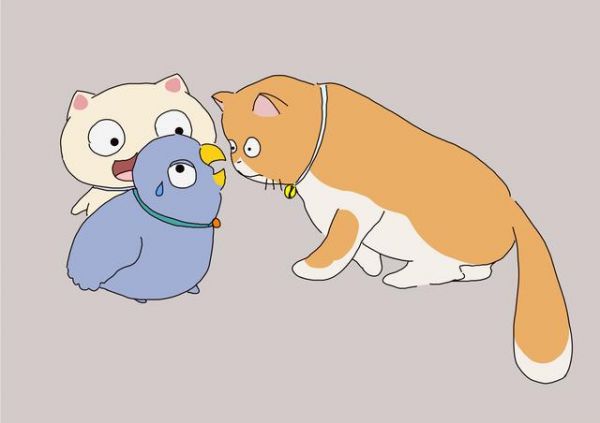 猫对家里的其他动物会形成3类影响
