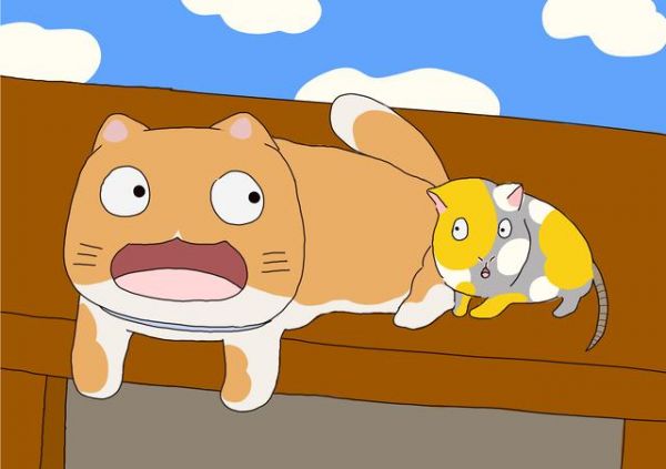 猫对家里的其他动物会形成3类影响