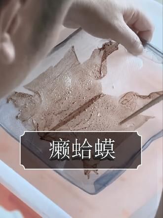 没想到巨丑无比的癞蛤蟆却全身是宝#涨知识啦 #科普 #蟾蜍