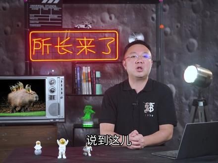动物界交际花 ,水豚卡皮巴拉(3)