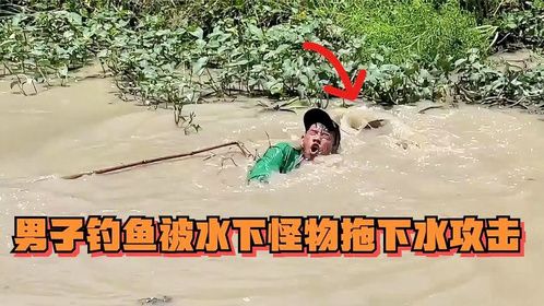 目击者手机拍摄到——男子钓鱼被水中怪物拖下水攻击的真实事件！