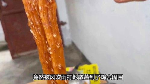 母鸡被辣条包围