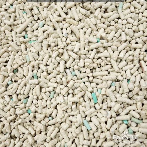 给宠物猫使用猫砂前需要做哪些准备？
