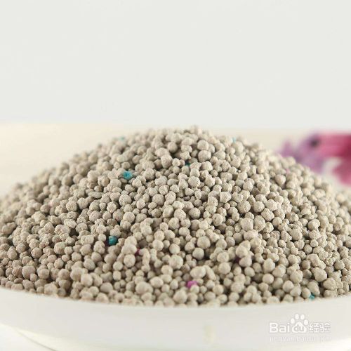 给宠物猫使用猫砂前需要做哪些准备？