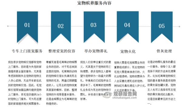 宠物殡葬服务主要是指对于死去的宠物进行丧葬仪式和后续处理的一系列服务，通常包含为宠物仪容清洁整理、温情告别、宠物单独火化、宠物骨灰寄存、以及给宠物设立相应的纪念碑等。宠物殡葬服务旨在为宠物主人缓解因宠物去世所带来的伤痛，同时也给予宠物最后的敬意和尊重。