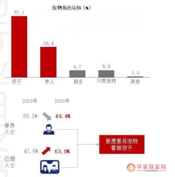 宠物殡葬加盟
