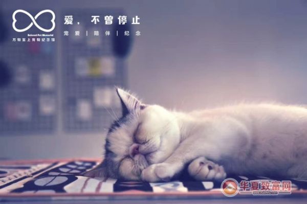 宠物殡葬加盟