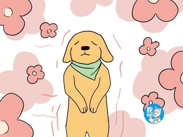 辟谣：狗狗去世后不能埋是老人的迷信说法？竟是有科学依据的