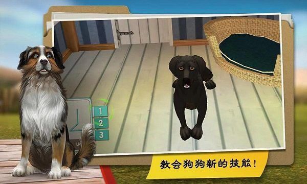 我的寄宿狗屋游戏截图2