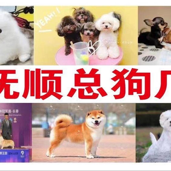 店主头像