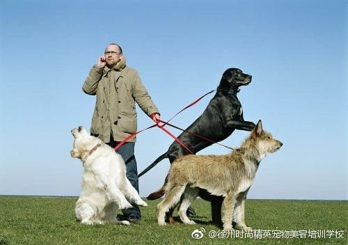 图片来自网络