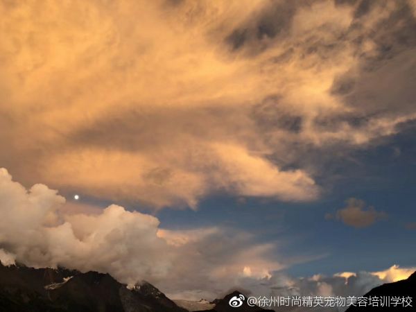 图片为自己拍摄