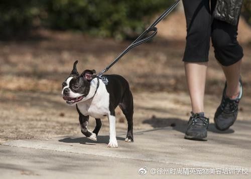 图片来自网络