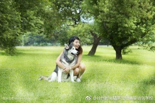 图片来自网络