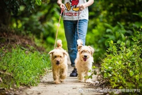 图片来自网络 文章部分来自网络