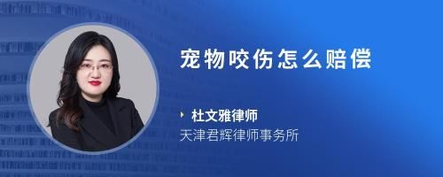 宠物咬伤怎么赔偿