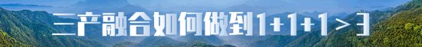 农村三产融合