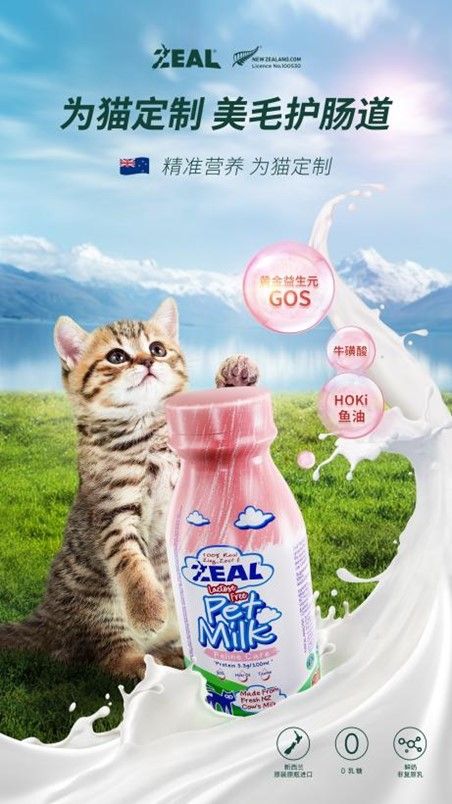猫咪定制