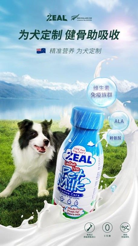 狗狗定制
