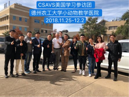 图片9.png