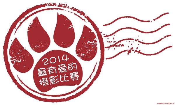 【2014最有爱的摄影比赛】“给爱犬的一封信”主题图文比赛