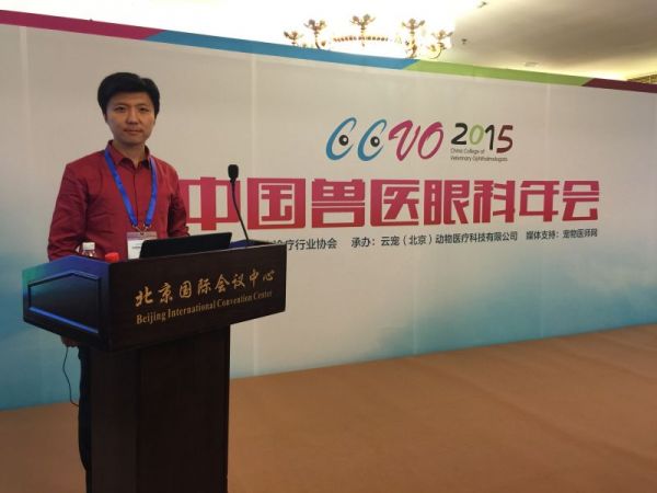 这是描述信息