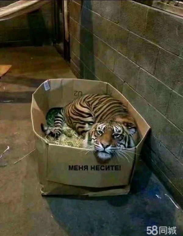 店主头像