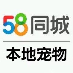 店主头像