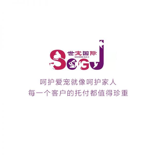 店主头像