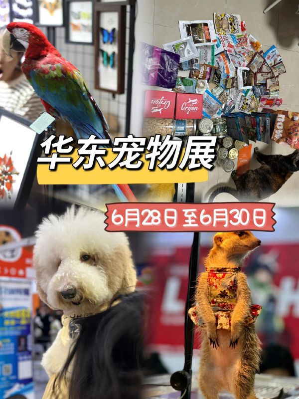 第2届华东国际宠物展览会一苏州站。哇哦!今年 6 月份的华东宠物展绝对不容错过!为啥说挤破头也要来薅羊毛呢?看看我的战绩就知道啦!这里还有超多精彩活动和丰富展品,快来和小伙伴们一起体验吧!#华东宠物展 #苏州宠物展 #周末去哪玩 #被萌宠治愈的那些时刻 #萌宠嗨玩季