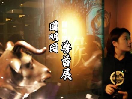 十二生肖兽首回归,这次终于到徐州了#徐州旅游 #徐州兽首特展 #徐州博物馆兽首特展 #徐州博物馆圆明园兽首特展 #盛世回归彭城聚首