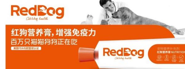 关注宠物营养需求，细致呵护宠物健康