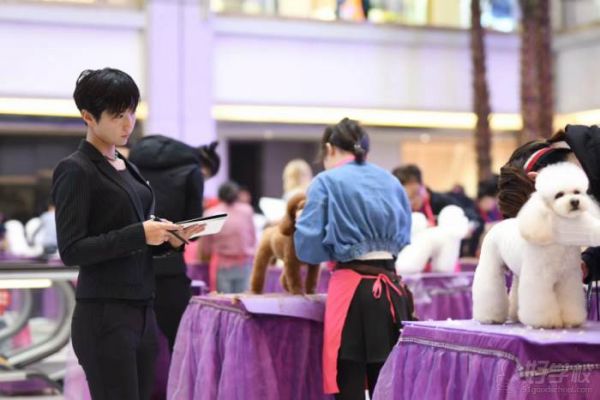 成都宠尚国际宠物美容培训中心 专业现场