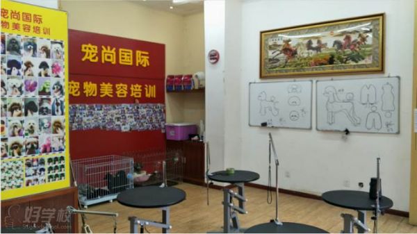 成都宠尚国际宠物美容培训中心 环境展示