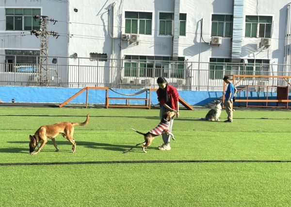 学员2.jpg