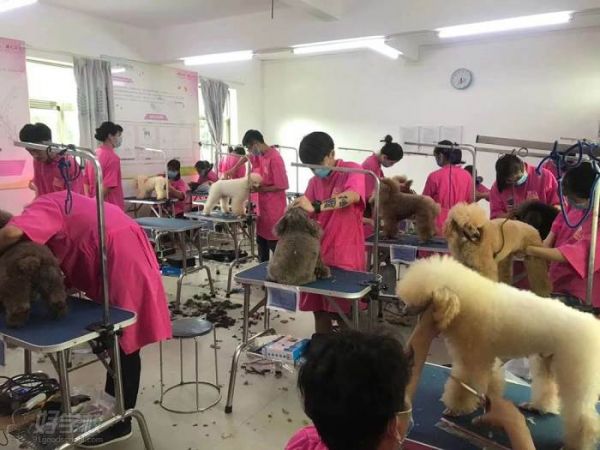 教学现场