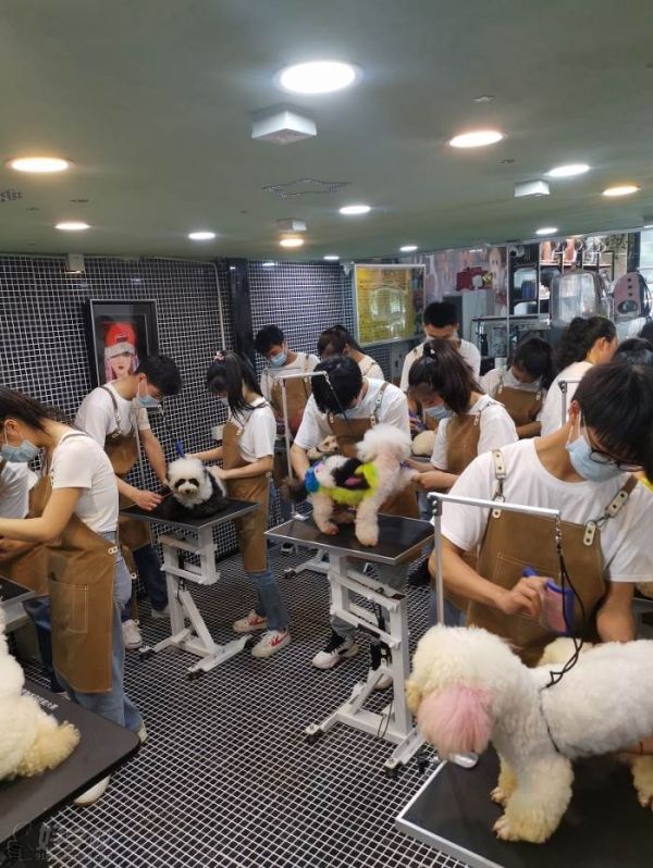 教学场景二