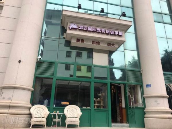 厦门宠匠国际宠物培训学院