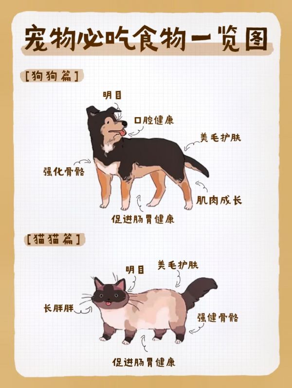 宠物必吃食物一览表#科学养宠攻略 #萌宠好物 #新手养猫 #狗 #猫