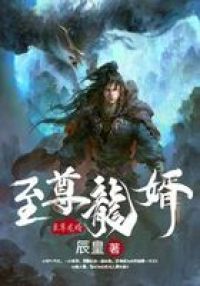 叶辰萧初然全部目录