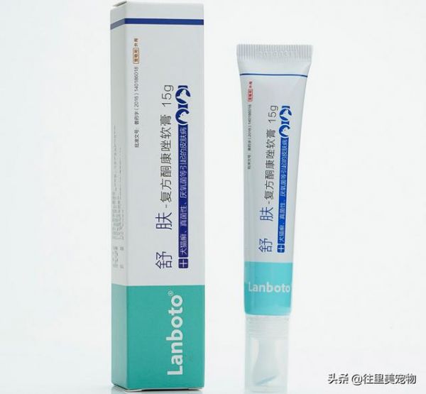 20种家庭宠物常备药汇总，让您的爱宠在生病时，也能得到及时照顾