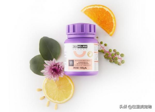 20种家庭宠物常备药汇总，让您的爱宠在生病时，也能得到及时照顾