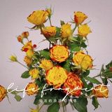 不要沉迷游戏