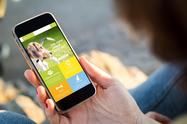通过APP照看宠物、掌控宠物健康状态的时代正在来临图片