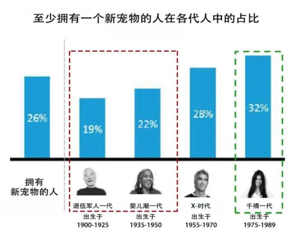 宠物搜索激增512%？爱养鱼养马养蜥蜴的老外让亚马逊宠物品类悄然爆火！