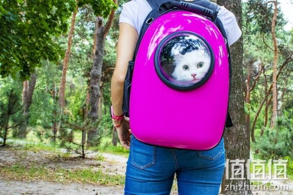 猫咪太空包怎么选择？猫咪太空包选购指南