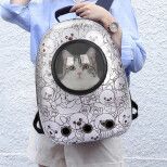猫包猫咪背包宠物大号便携背包宠物包猫包外出太空舱透明太空包猫小型犬透气外出双肩包 京调玉琢 潮流新款-白色小熊